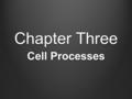 Chapter Three Cell Processes. Chapter Three Table of Contents Table Contents Section 1 Objectives, Key Terms, & Notes Chemistry of Life Directed Reading: