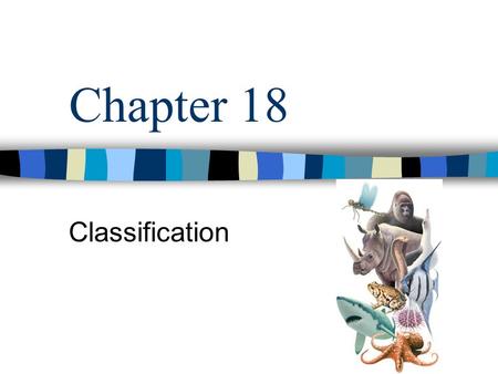 Chapter 18 Classification. Every year, thousands of new species are discovered Biologists classify them with similar organisms The ways we group organisms.