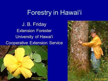 Forestry in Hawai‘i J. B. Friday Extension Forester University of Hawai‘i Cooperative Extension Service © Brent Sipes.