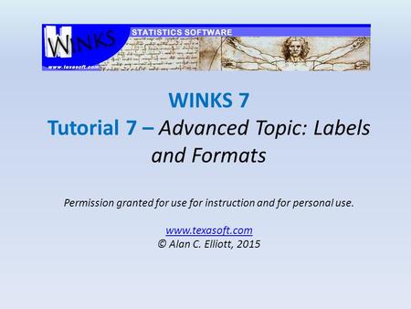 WINKS 7 Tutorial 7 – Advanced Topic: Labels and Formats Permission granted for use for instruction and for personal use. www.texasoft.com © Alan C. Elliott,