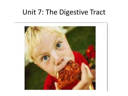 Unit 7: The Digestive Tract. fluid containing water, electrolytes and a battery of organic molecules including bile acids, cholesterol, phospholipids.