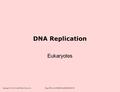 Copyright, ©, 2002, John Wiley & Sons, Inc.,Karp/CELL & MOLECULAR BIOLOGY 3E DNA Replication Eukaryotes.