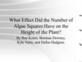 What Effect Did the Number of Algae Squares Have on the Height of the Plant? By Ben Keens, Brennan Downey, Kyle Nette, and Dallas Hudgens.