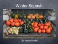 Winter Squash So many kinds!. Do you know the difference between winter squash and summer squash? All kinds of squash grow on a vine. When you plant a.