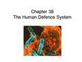 Chapter 38 The Human Defence System. A pathogen is an organism that causes disease. The general defence system: non specific acts against all pathogens.