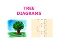 TREE DIAGRAMS. Tree Diagrams and Possible Outcomes Tree diagrams, as the name suggests, look like a tree as they branch out symmetrically. Tree diagrams.