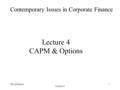 David Kilgour Lecture 4 1 Lecture 4 CAPM & Options Contemporary Issues in Corporate Finance.
