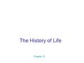 The History of Life Chapter 12. In the Beginning Earth is 4.6 billion years old Primitive atmosphere formed 4 billion years ago H 2 O, CO, CO 2, N 2,