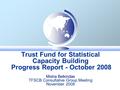 Trust Fund for Statistical Capacity Building Progress Report - October 2008 Misha Belkindas TFSCB Consultative Group Meeting November 2008.