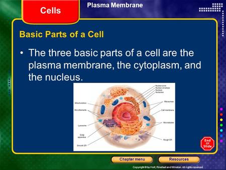 Copyright © by Holt, Rinehart and Winston. All rights reserved. ResourcesChapter menu Plasma Membrane Cells Basic Parts of a Cell The three basic parts.