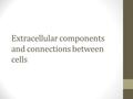 Extracellular components and connections between cells.