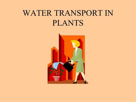 WATER TRANSPORT IN PLANTS. An Overview of Transport in Plants.