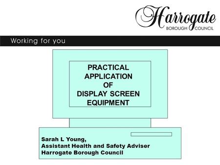 PRACTICAL APPLICATION OF DISPLAY SCREEN EQUIPMENT Sarah L Young, Assistant Health and Safety Adviser Harrogate Borough Council.
