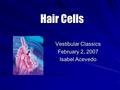 Hair Cells Vestibular Classics February 2, 2007 Isabel Acevedo.