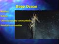 Deep Ocean BenthosNektos Chemosymbiotic communities Deadfall communities.