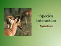 Species Interaction Symbiosis. Symbiosis Means “living together” Interaction between two species where at least one benefits – Some organisms are permanently.