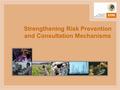 Strengthening Risk Prevention and Consultation Mechanisms.