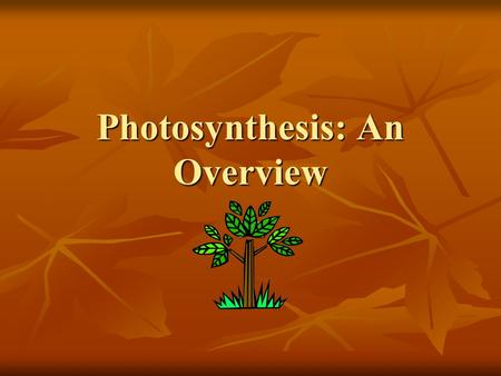 Photosynthesis: An Overview 8-2. The key cellular process identified with energy production is photosynthesis The key cellular process identified with.