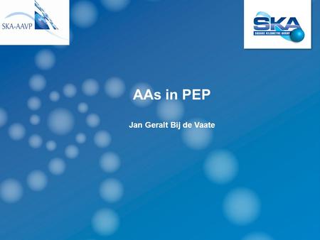 AAs in PEP Jan Geralt Bij de Vaate. PEP Project Execution Plan for the pre construction phase of the SKA Consortium to be formed AA-low ready for construction.