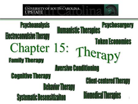 1. Therapy Two main categories:  The Psychological Therapies  The Biomedical Therapies The Psychological Therapies – called psychotherapy Cause of symptoms.