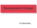 Development of Hindgut
