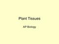 Plant Tissues AP Biology. Typical Plant Structure Shoots: above ground structures Roots: below ground Structures consist of three major tissue systems: