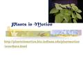 Plants in Motion  /starthere.html.
