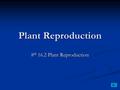 Plant Reproduction 8 th 16.2 Plant Reproduction. Plant Reproduction Plants reproduce by pollen, spores, or seeds Plants reproduce by pollen, spores, or.