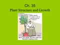 Ch. 35 Plant Structure and Growth. I. Angiosperm Body A. Two types 1. Monocotyledon (monocot) a. One cotyledon, veins in leaf parallel, vascular bundles.