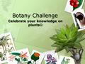 Botany Challenge Celebrate your knowledge on plants.