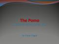 The Pomo Who in the world are the Pomo? The Pomo Indians are a California Native American Tribe. In the summer it was not to cold not to hot. They lived.
