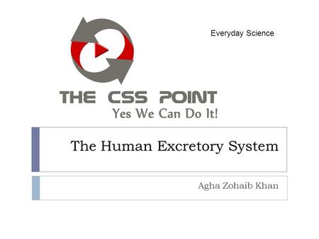 The Human Excretory System Agha Zohaib Khan Everyday Science.