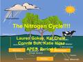 The Nitrogen Cycle!!!! Lauren Gokey, Kat Chew, Connie Suh, Katie Husa APES, Period 5.