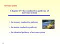 Chapter 19 the conductive pathway of nervous system