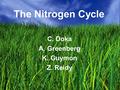 The Nitrogen Cycle C. Doka A. Greenberg K. Guymon Z. Reidy.