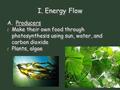 I. Energy Flow A. Producers / Make their own food through photosynthesis using sun, water, and carbon dioxide / Plants, algae A. Producers / Make their.