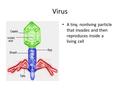 Virus A tiny, nonliving particle that invades and then reproduces inside a living cell.