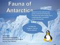 Dawn Follin Science Standard Grade 1 Requirements for Living Things to Survive Their Habitats. Welcome to the cold and very snowy continent of Antarctica.