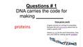 Questions # 1 DNA carries the code for making proteins.