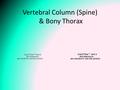 Vertebral Column (Spine) & Bony Thorax. Vertebral Column Functions Support the trunk Provide a place for the ribs & pelvis to attach Permit movement House.