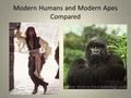 Modern Humans and Modern Apes Compared. EYES Modern Human Located in front of skull. Excellent binocular vision Excellent colour vision Reduced sense.
