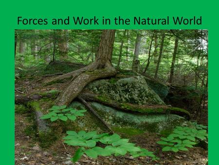 Forces and Work in the Natural World. WORK Is force over a distance If force is applied to an object, and the object moves work has been done Plants can.