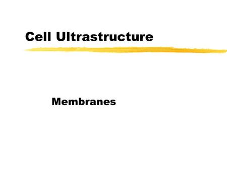 Cell Ultrastructure Membranes. Plasma membrane zOutermost layer of cytoplasm zServes as a barrier to prevent cell contains from mixing with the surroundings.