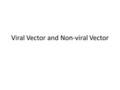 Viral Vector and Non-viral Vector. Viral Life cycle Infection Phase Replication Phase.