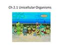 Ch 2.1 Unicellular Organisms. Unicellular Organisms living things made of a single cell – usually smaller than a speck of dust – live everywhere that.
