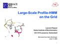 1 Large-Scale Profile-HMM on the Grid Laurent Falquet Swiss Institute of Bioinformatics CH-1015 Lausanne, Switzerland Borrowed from Heinz Stockinger June.