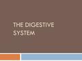 THE DIGESTIVE SYSTEM. Digestive System  Function: Breaks down food into simpler substances.  Digestions begins in the mouth. There food is chewed and.