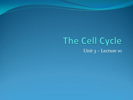 Unit 3 – Lecture 10. Cell Reproduction 3 Reasons why cells reproduce: make the organism larger repair damaged cells replenish dead cells.