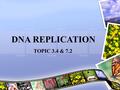 DNA REPLICATION TOPIC 3.4 & 7.2. Assessment Statements 3.4.1 Explain DNA replication in terms of unwinding the double helix and separation of the strands.