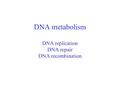 DNA metabolism DNA replication DNA repair DNA recombination.